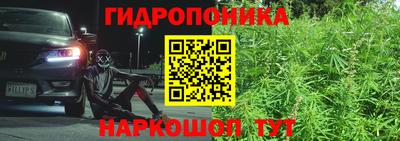 трава Ипатово