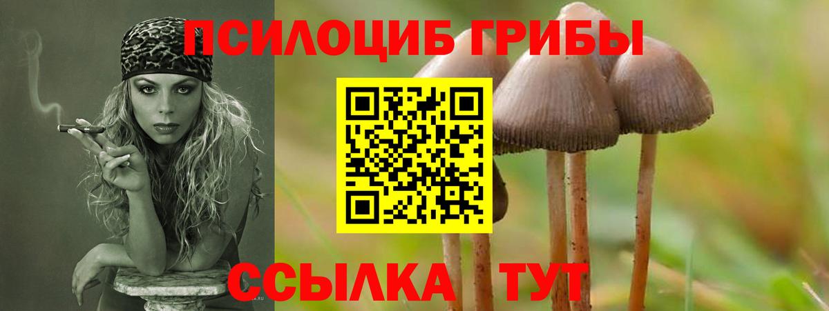 Псилоцибиновые грибы Magic Shrooms Лесозаводск